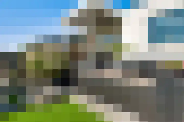 Mussenberg 16 Horn thumbnail 35