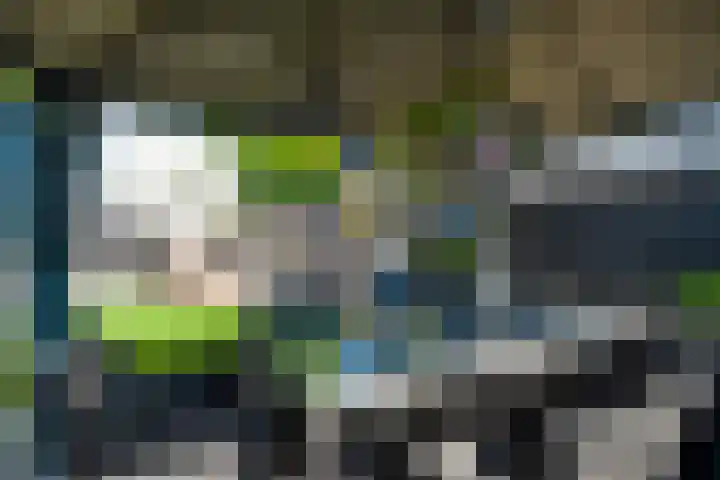 Mussenberg 16 Horn thumbnail 38