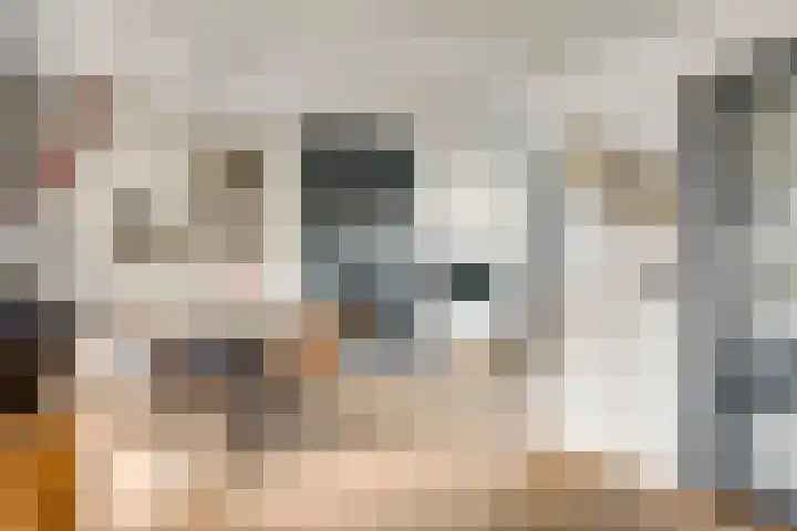 Mussenberg 16 Horn thumbnail 7