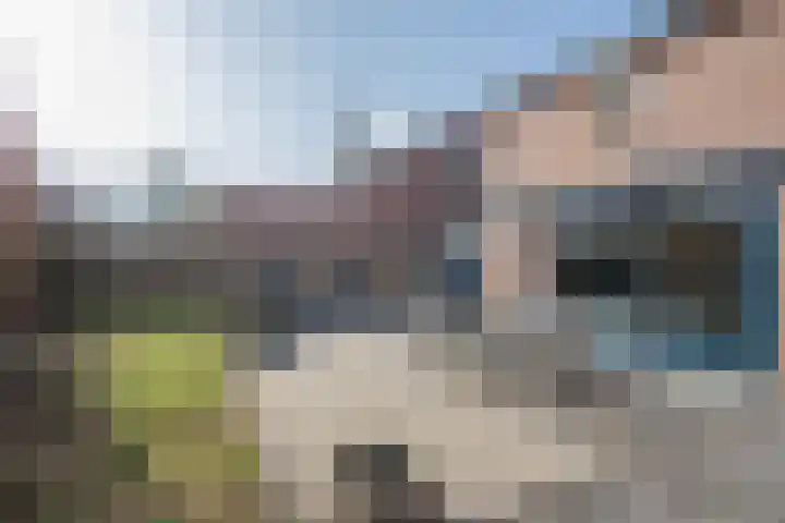Mussenkamp 3 Neeritter thumbnail 30