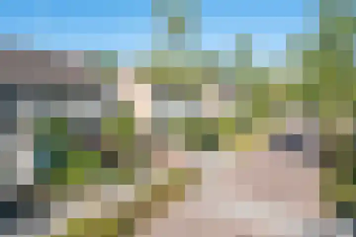 Mussenstraat 19 Uden thumbnail 5