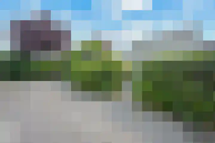Mussenveld 79 Emmen thumbnail 33