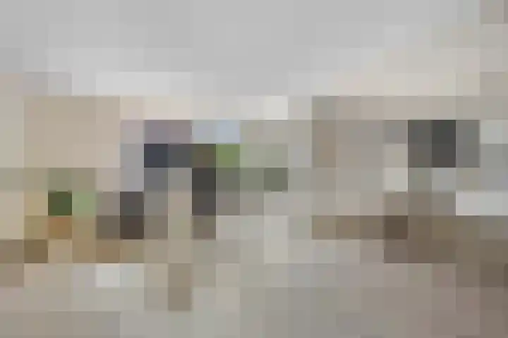 Mussenveld 79 Emmen thumbnail 8