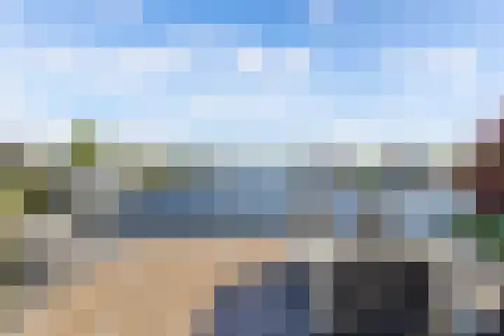 Mutserd 76 Lemmer thumbnail 27