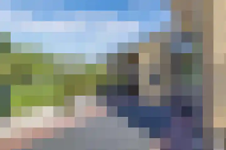 Mutserd 76 Lemmer thumbnail 32