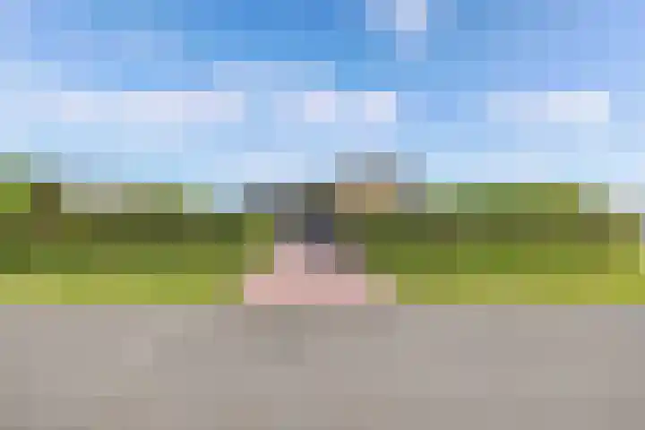 Mutserd 76 Lemmer thumbnail 34