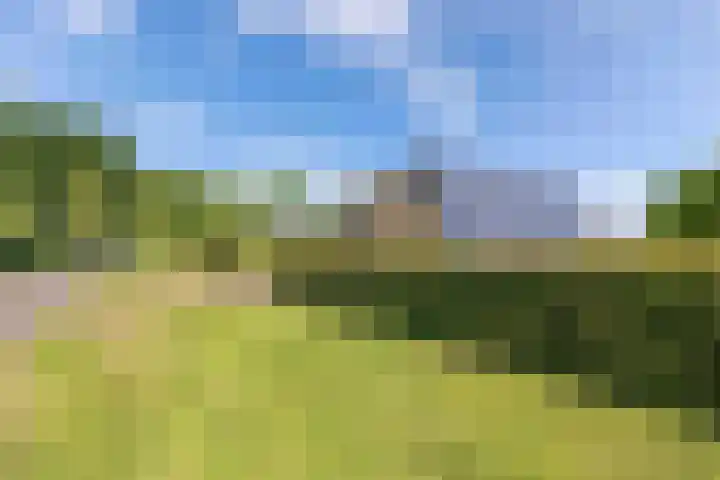 Mutserd 76 Lemmer thumbnail 35