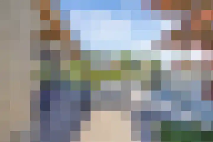 Mutserd 76 Lemmer thumbnail 37