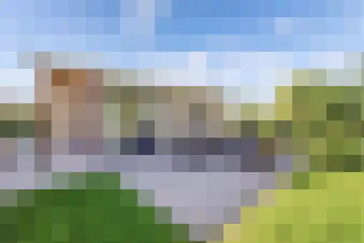 Mutserd 76 Lemmer thumbnail 38