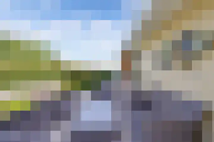 Mutserd 76 Lemmer thumbnail 39