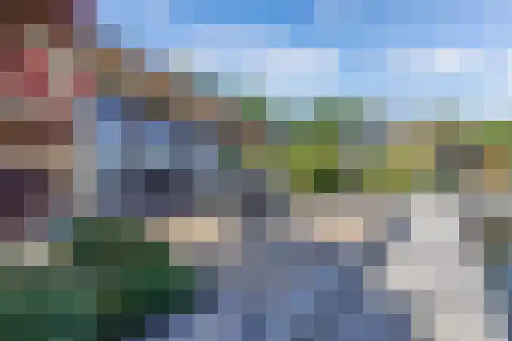 Mutserd 76 Lemmer thumbnail 4