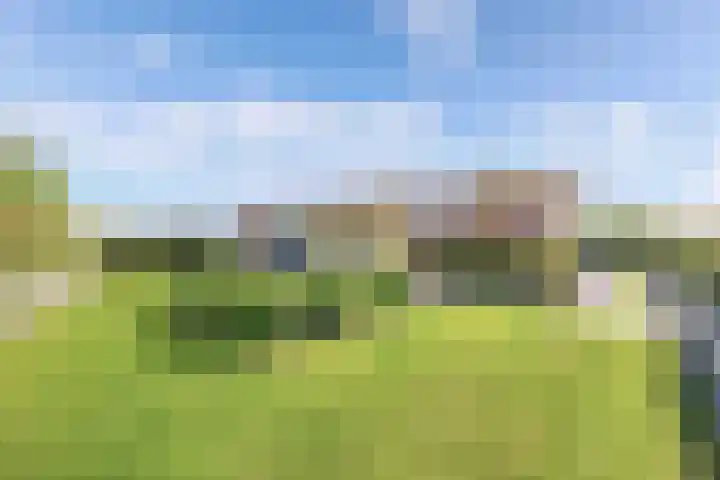 Mutserd 76 Lemmer thumbnail 40