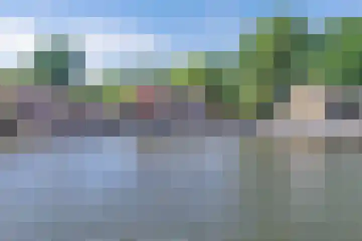 Mutserd 76 Lemmer thumbnail 42