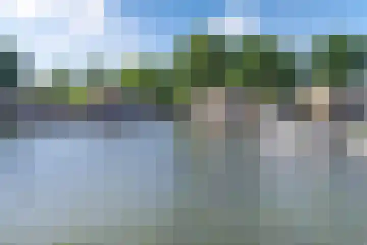 Mutserd 76 Lemmer thumbnail 44