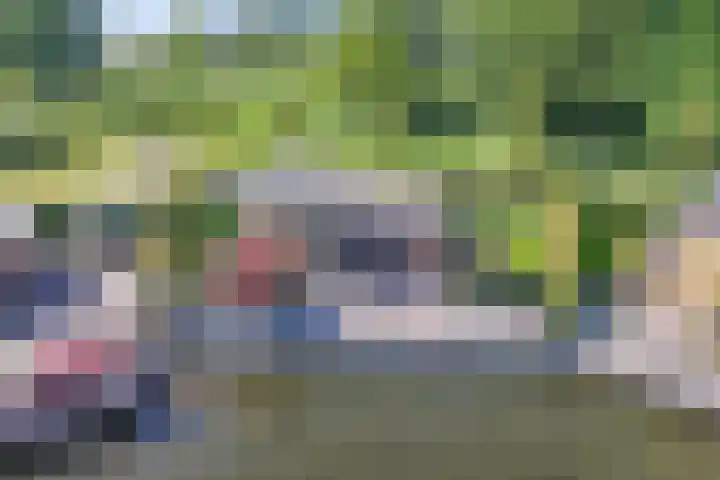 Mutserd 76 Lemmer thumbnail 5