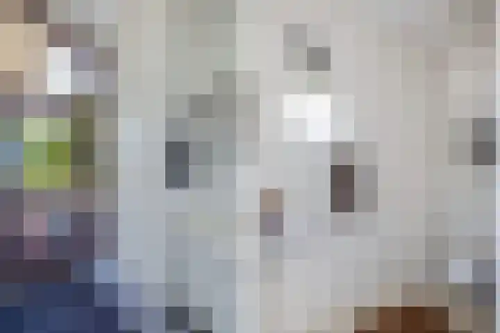 Mutserd 76 Lemmer thumbnail 8