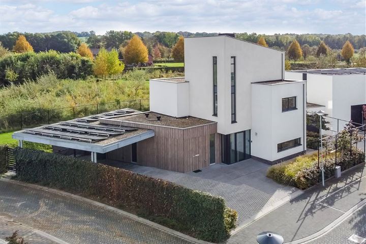 Muurbloem 9 in Eijsden foto