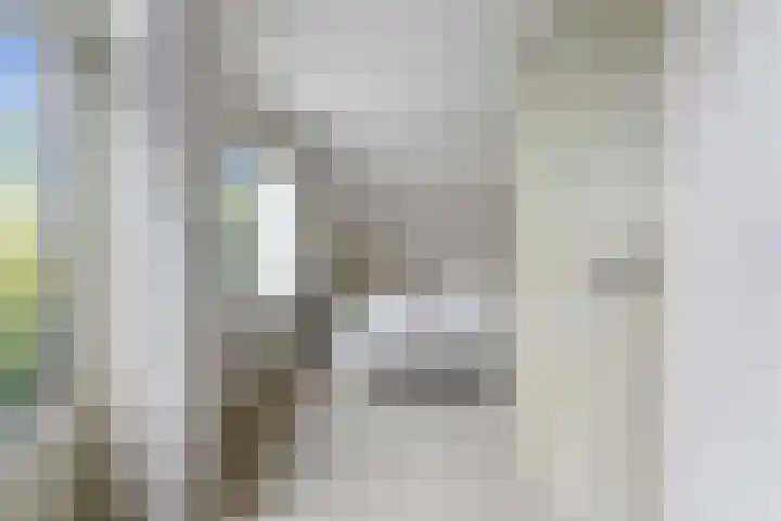 Muurkruid 4 De Meern thumbnail 16