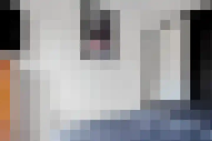 Muurkruid 4 De Meern thumbnail 25