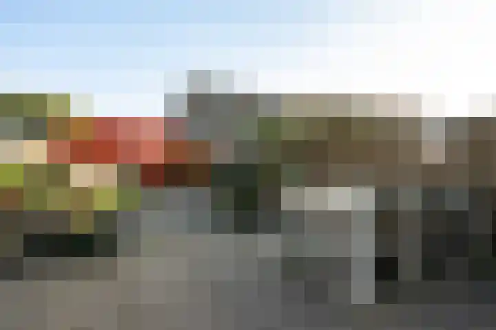 Muurkruid 4 De Meern foto 3