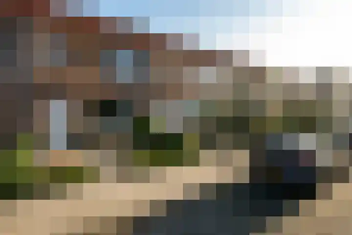 Muurkruid 4 De Meern thumbnail 4