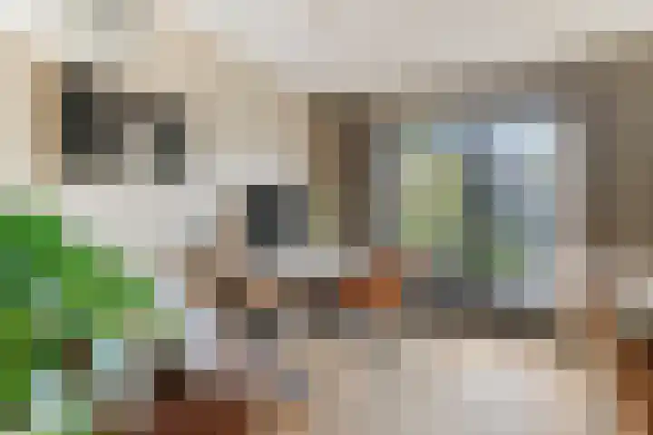 Muurkruid 4 De Meern thumbnail 6