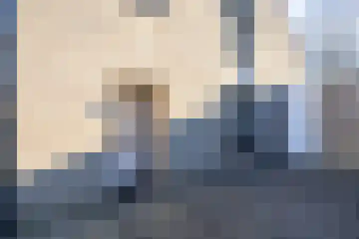 Muurpeper 6 Venray thumbnail 6