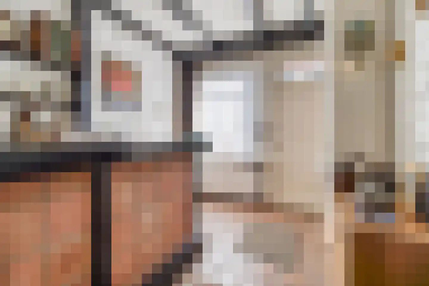 Muzenlaan 91 Leiderdorp thumbnail 14