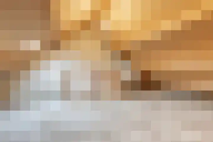 Muzenlaan 91 Leiderdorp thumbnail 26
