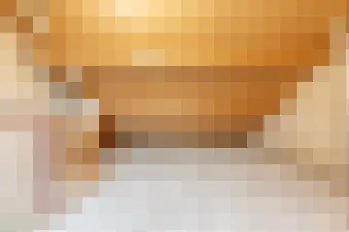 Muzenlaan 91 Leiderdorp thumbnail 27