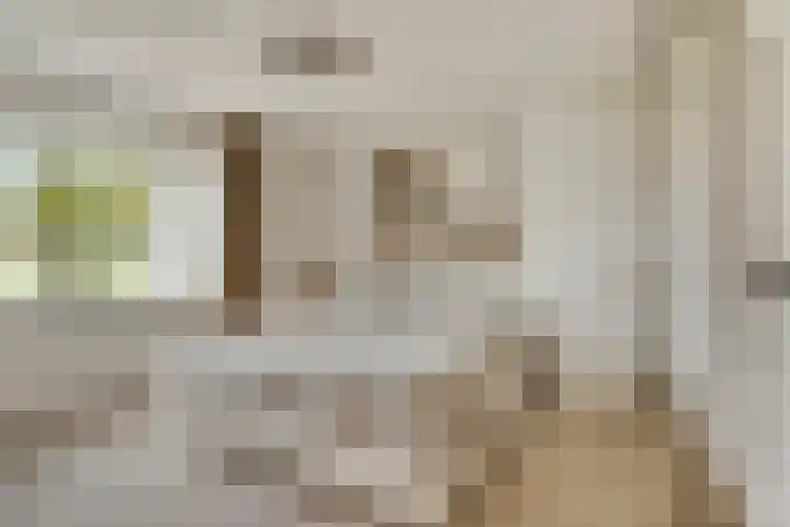 Muzenlaan 91 Leiderdorp thumbnail 28