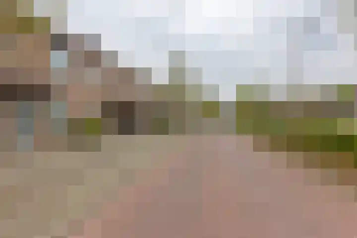 Muzenlaan 91 Leiderdorp thumbnail 5