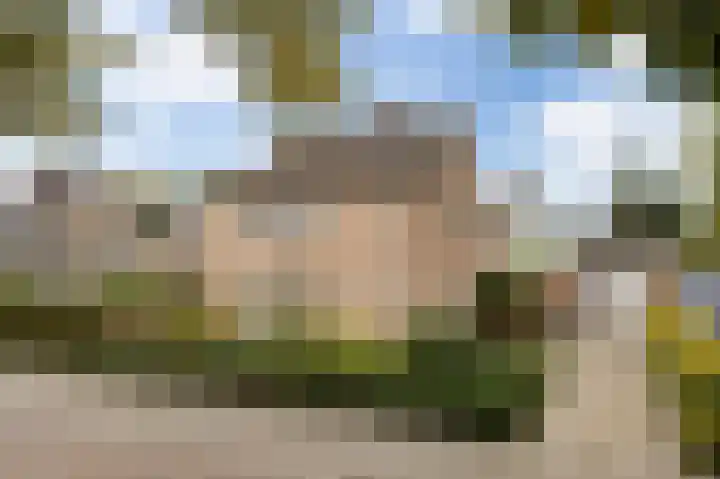 Team foto van MVS Janssen Garantiemakelaars