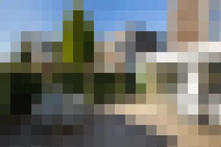 Mycene 9 Amersfoort thumbnail 15