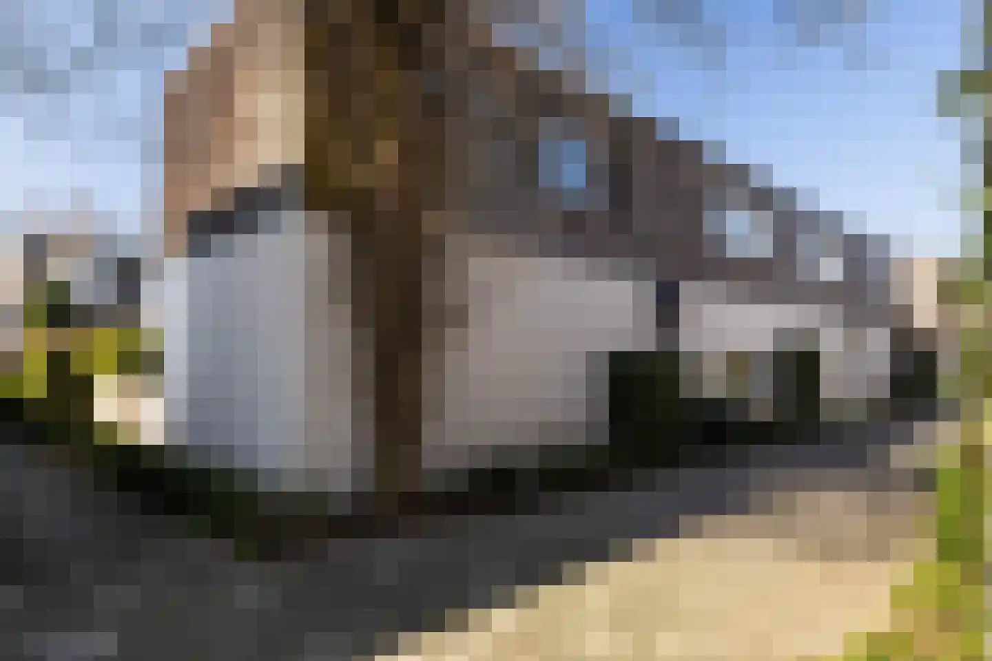 Mycene 9 Amersfoort thumbnail 38