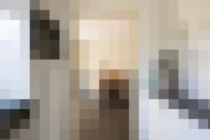 Mycene 9 Amersfoort thumbnail 8