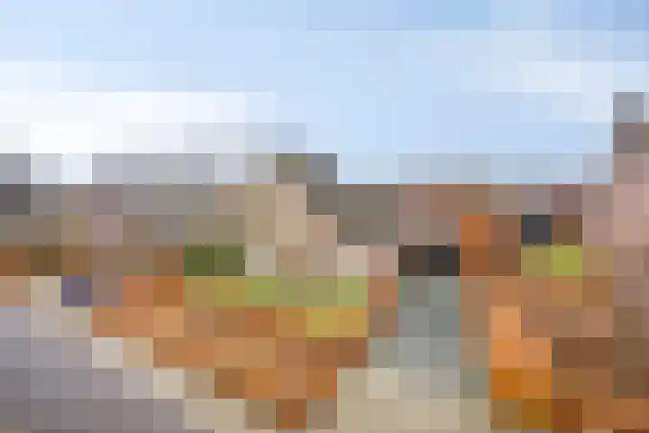 Naaldakker 8 in Lage Mierde