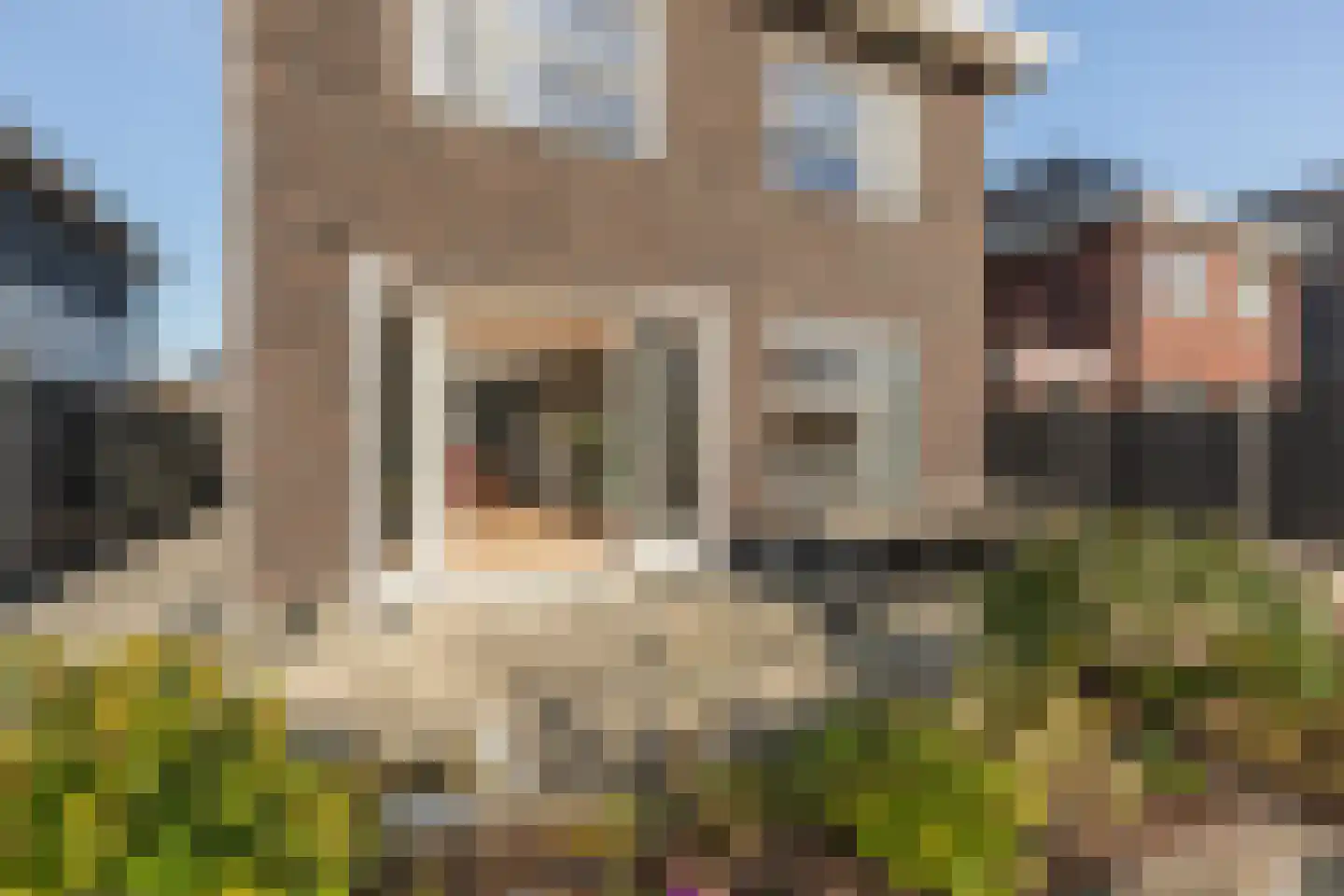 Naaldwijkseweg 182 in 's-Gravenzande