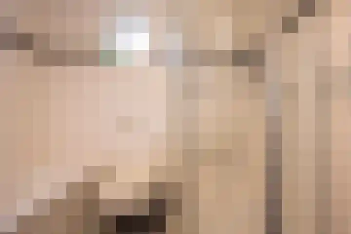 Nabbert 6 Leusden thumbnail 14