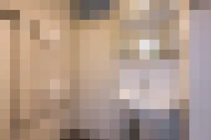 Nabbert 6 Leusden thumbnail 15