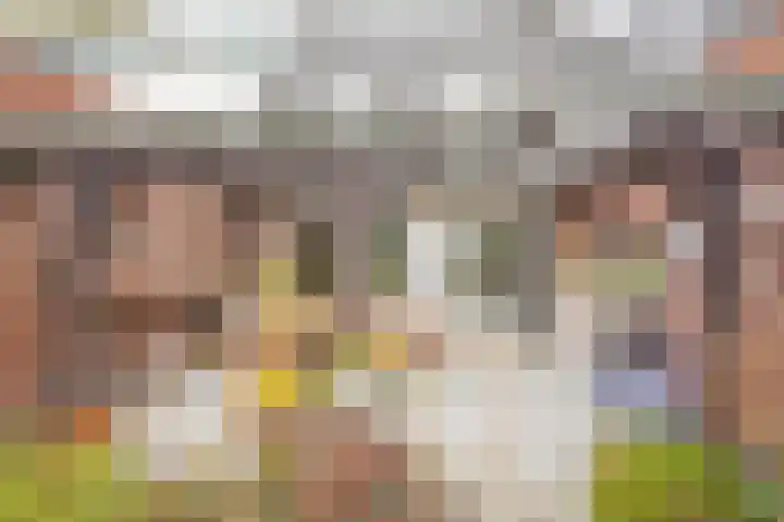 Nabbert 6 Leusden thumbnail 22