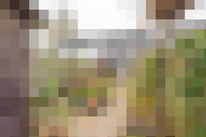 Nabbert 6 Leusden thumbnail 23