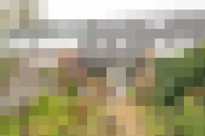 Nabbert 6 Leusden thumbnail 24