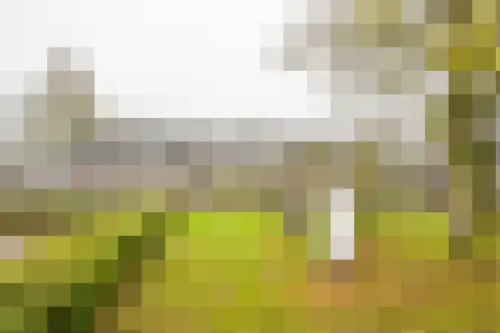 Nabbert 6 Leusden thumbnail 26