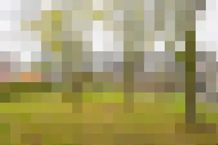 Nabbert 6 Leusden thumbnail 27