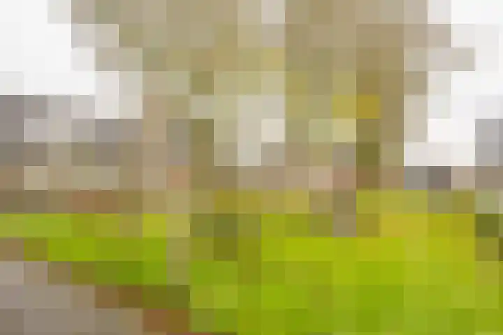 Nabbert 6 Leusden thumbnail 28