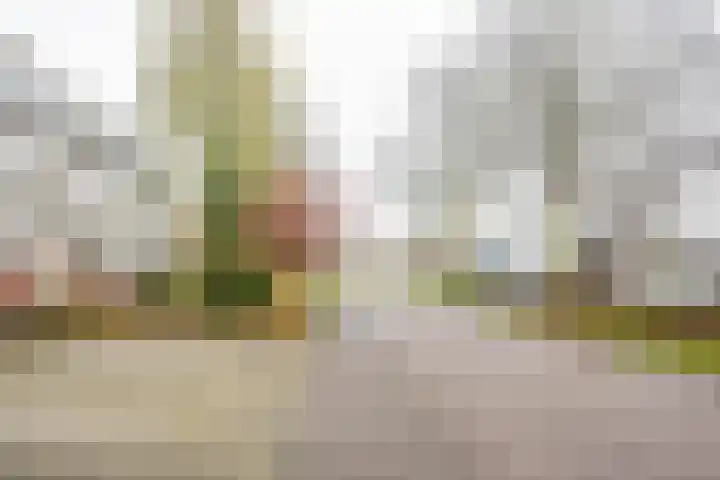 Nabbert 6 Leusden thumbnail 29