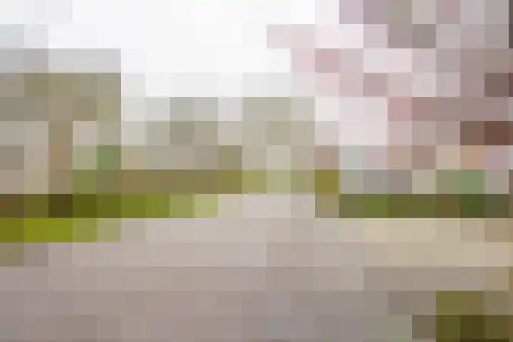 Nabbert 6 Leusden thumbnail 30