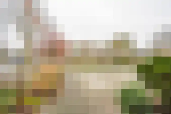 Nabbert 6 Leusden thumbnail 31