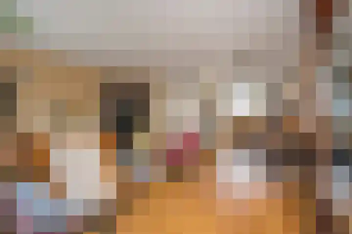Nabbert 6 Leusden thumbnail 7